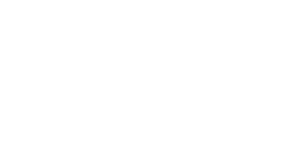 logo vieira e oliveira 1 (1)